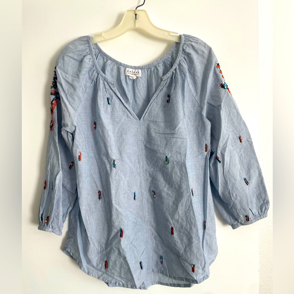 Velvet embroidered blouse